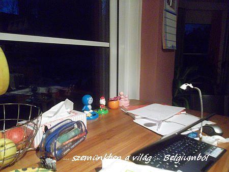 polcocskám története 1