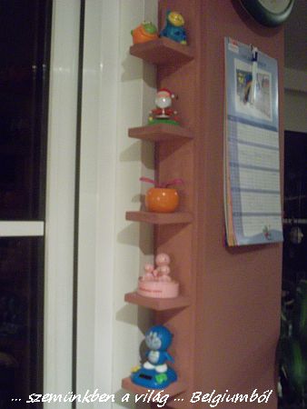 polcocskám története 4