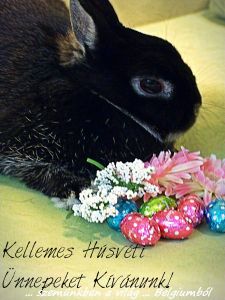 kellemes husvéti ünnepeket nyunyikával