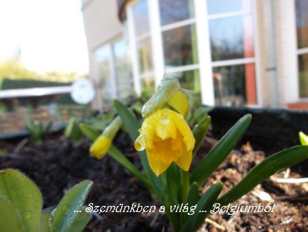 mai tavasz2