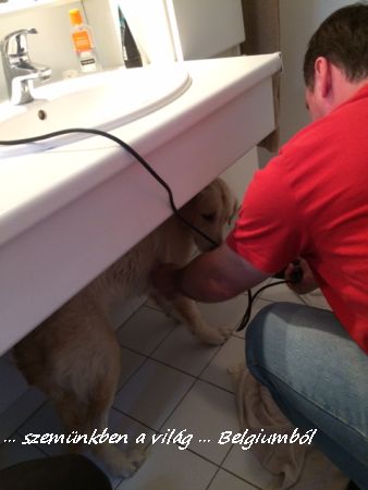 Charlie első fürdetése11