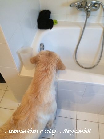 Charlie első fürdetése13