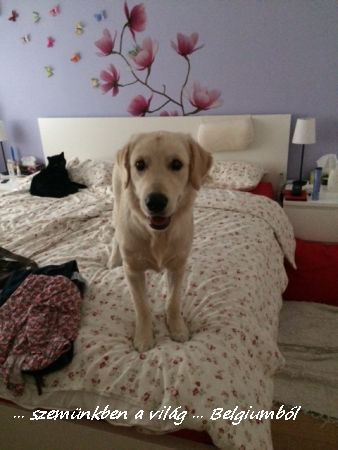 Charlie első fürdetése2