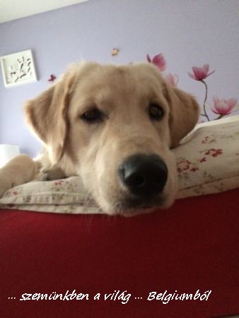 Charlie első fürdetése3