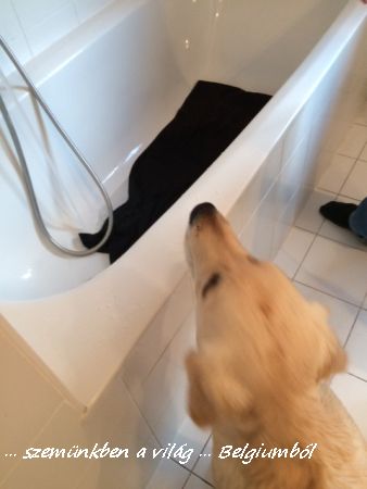 Charlie első fürdetése4