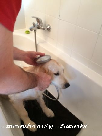 Charlie első fürdetése5