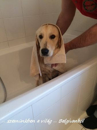 Charlie első fürdetése7