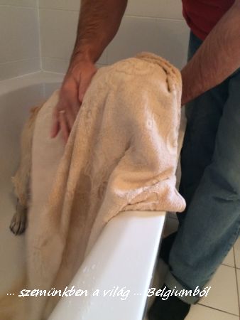 Charlie első fürdetése8