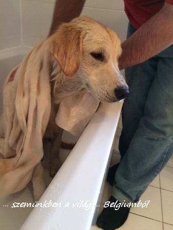 Charlie első fürdetése9