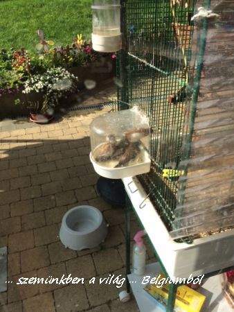 családi fürdőzés