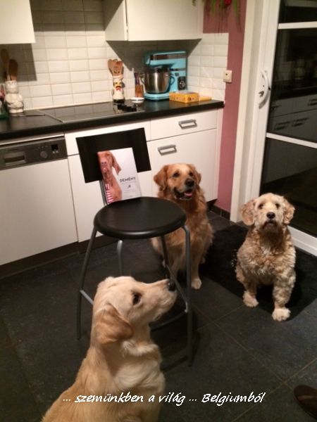 selfie Deménnyel 1.