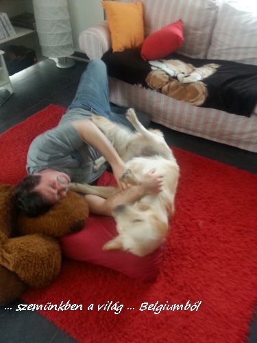 kutyakozmetika charlie-val10