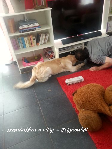 kutyakozmetika charlie-val11