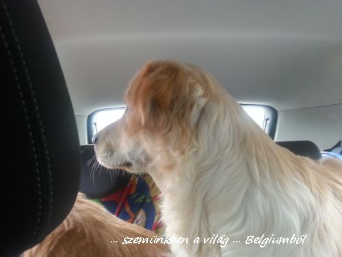 kutyakozmetika charlie-val2