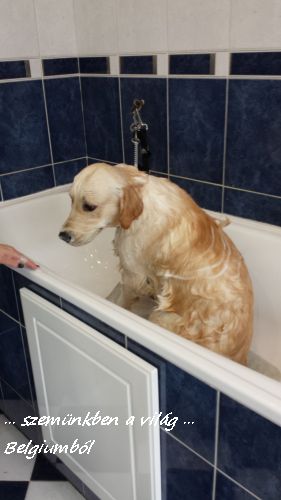 kutyakozmetika charlie-val3