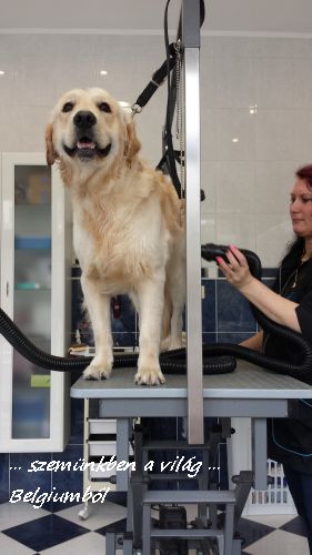 kutyakozmetika charlie-val8