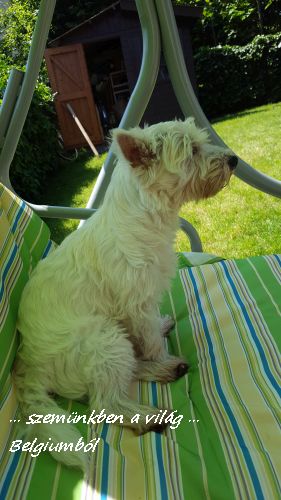 tavaszi nagytakaritás2