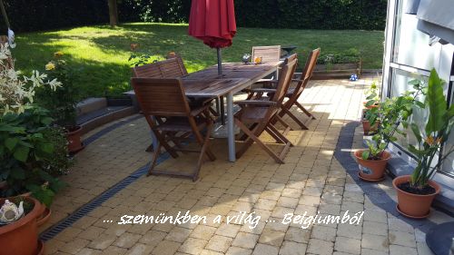 tavaszi nagytakaritás3