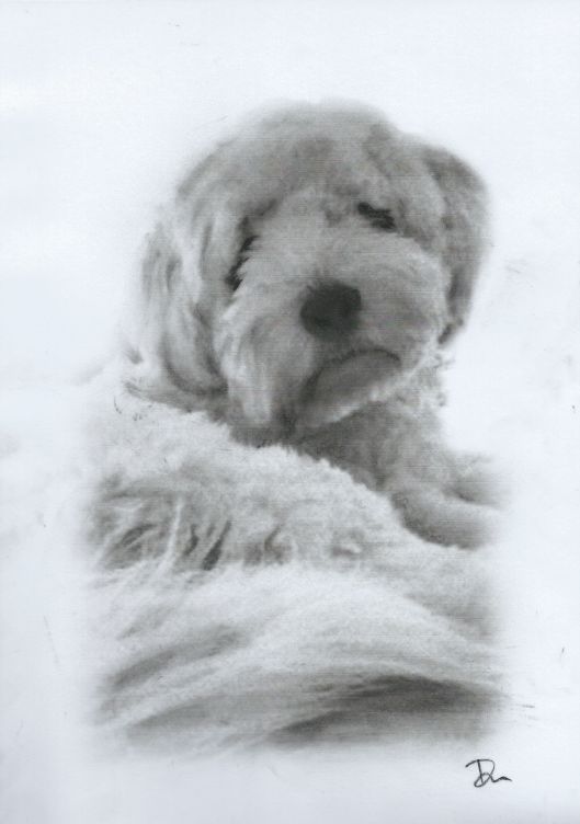 Bruno