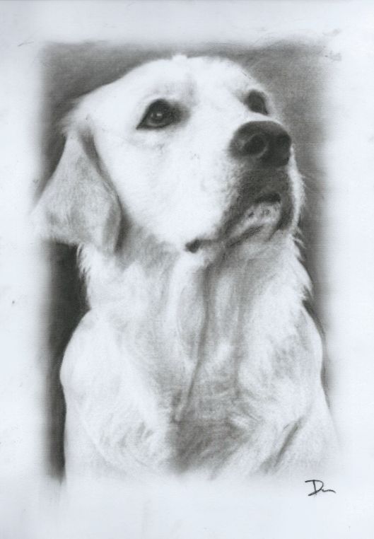 Charlie
