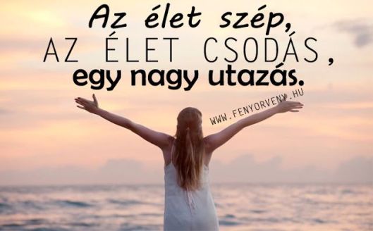 704439a18ca0f62022293d741265726b