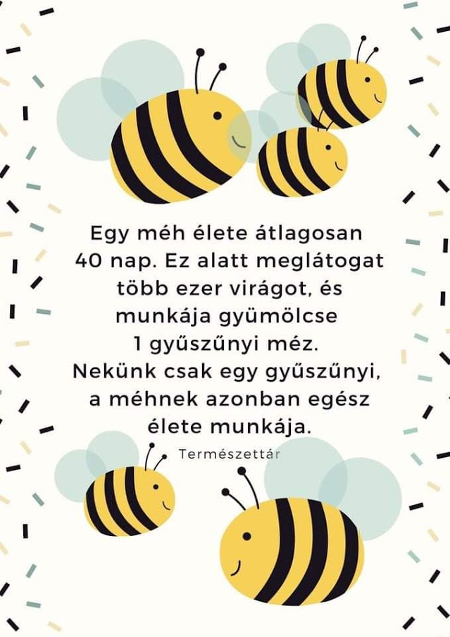 FB_IMG_1616195767337