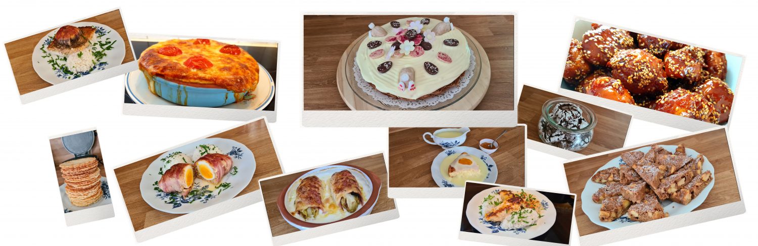 cropped-headerimagetest.2-1