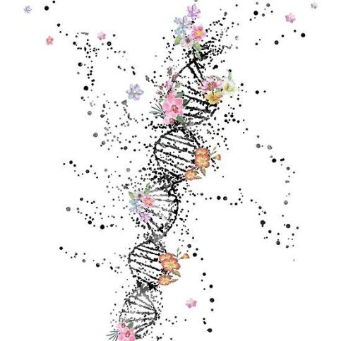 c32c7bc5c7bbede0511006cc5e3e6d37